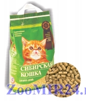 Сибирская кошка д/котят (лесной) 3л