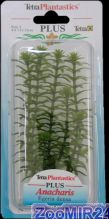 Tetra Plantastic Plus Anacharis Anacharis / Элодея 20-25 см