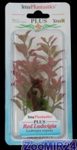 Tetra Plantastic Plus Anacharis Red Ludwigia / Людвигия 20-25 см