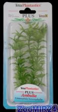 Tetra Plantastic Plus Anacharis Ambulia / Амбулия 20-25 см