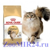 Royal Canin  (Роял Канин) Siberian, для сибирских кошек, старше 12 месяцев
