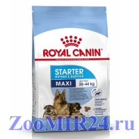 Royal Canin (Роял Канин) Макси стартер