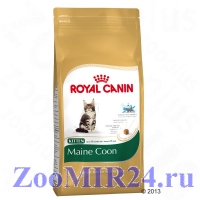 Royal Canin (Ройал Канин) Kitten Maine Coon для котят породы Мейн кун
