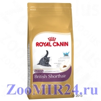 Royal Canin  (Роял Канин) Kitten British Shorthair  д/котят британцев