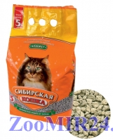 Сибирская кошка бюджет 20л