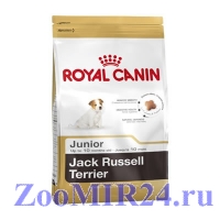 Royal Canin (Роял Канин) Jack Russel Terrier Junior для щенков