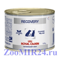 Royal Canin (Роял Канин) Recovery диета для собак и кошек после болезни, 195гр (конс.)