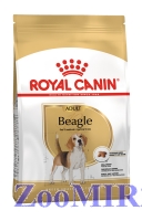 Royal Canin (Роял Канин) Beagle Adult для взрослых собак породы бигль
