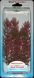 Tetra Plantastic Plus Anacharis Red Foxtail / Тысячелистник 20-25 см