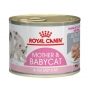 Royal Canin Babycat Instinctive для котят от 3 недель, 195г