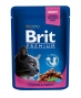 Brit Premium для взрослых кошек c курицей и индейкой, 100 гр пауч
