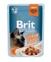 Brit Premium Cat Gravy для взрослых кошек кусочки филе индейки в соусе, 85 гр пауч