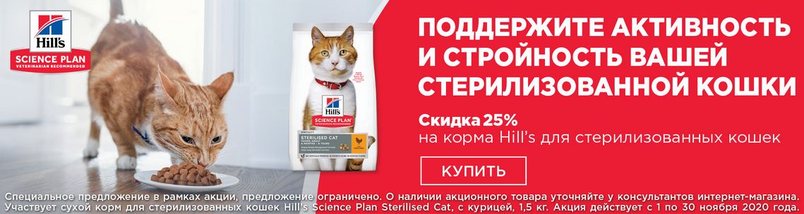 Интернет Магазин Кормов Для В Красноярске Интернет Магазин Кормов Для В Красноярске