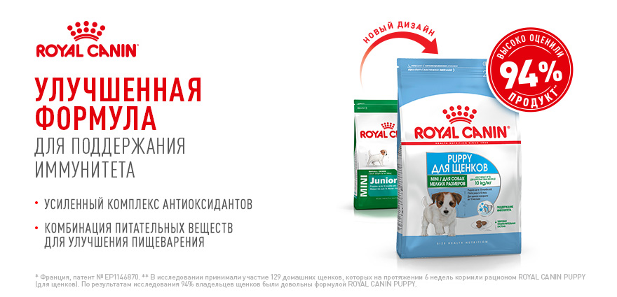 Акции на корма Royal Canin. Подробнее узнавайте у продавца. 